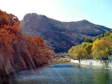 新澳天天开奖资料大全旅游团，美国站群服务器